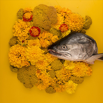 340_cover_fisheyes